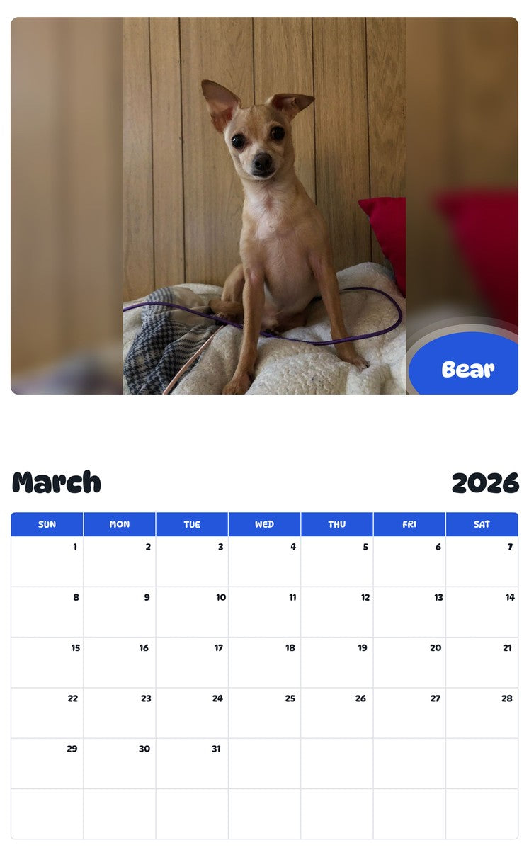 November 2025 - October 2026 Bear - Pawidols Pet Calendar