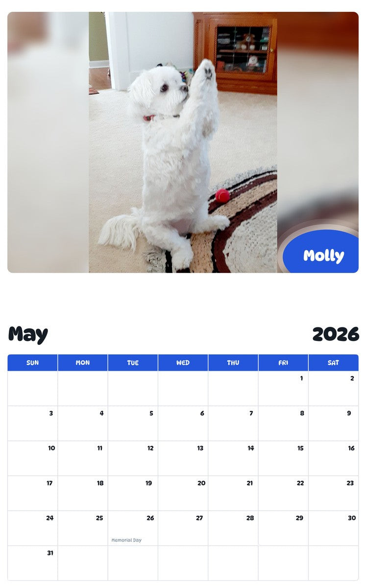 2026 - 2027 Molly - Pawidols Pet Calendar