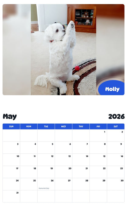2026 - 2027 Molly - Pawidols Pet Calendar
