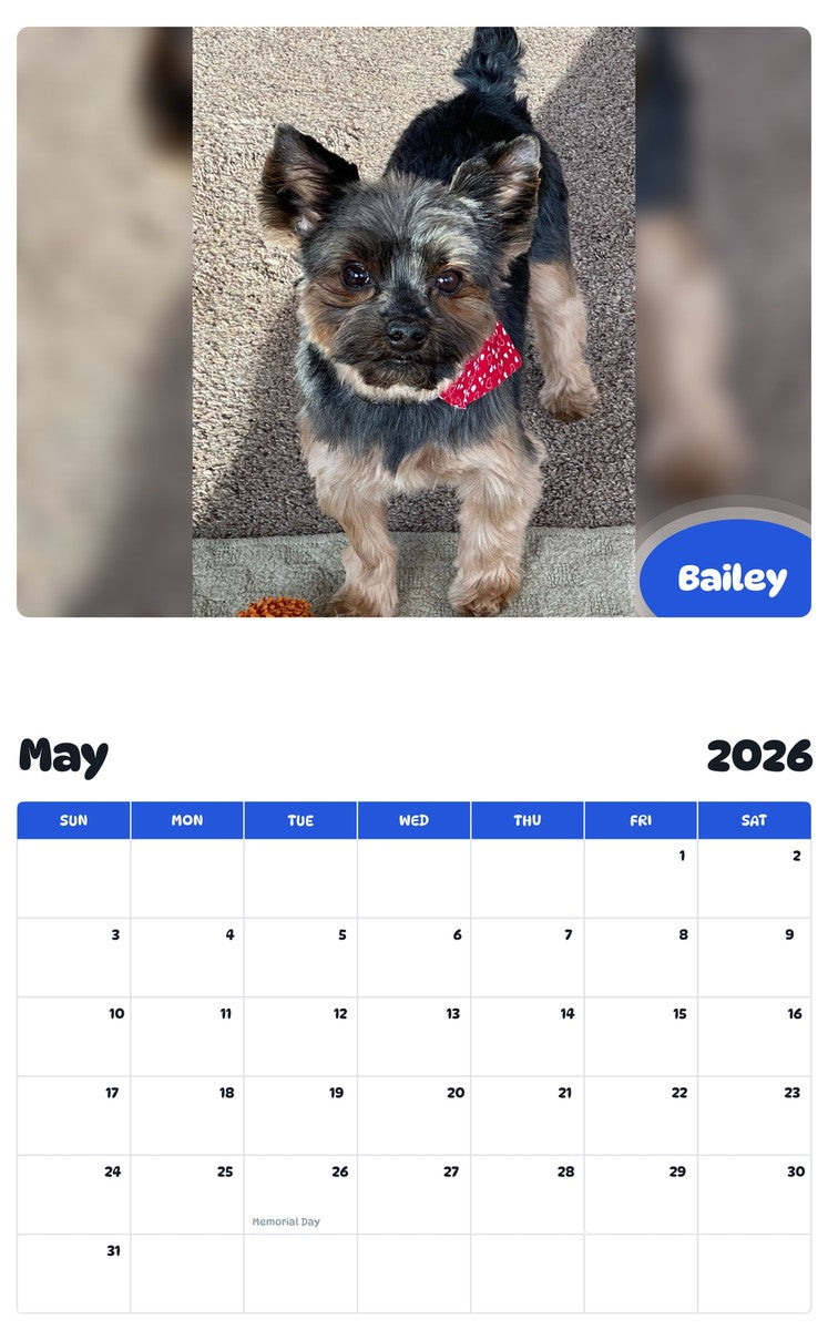 2026 - 2027 Bailey - Pawidols Pet Calendar