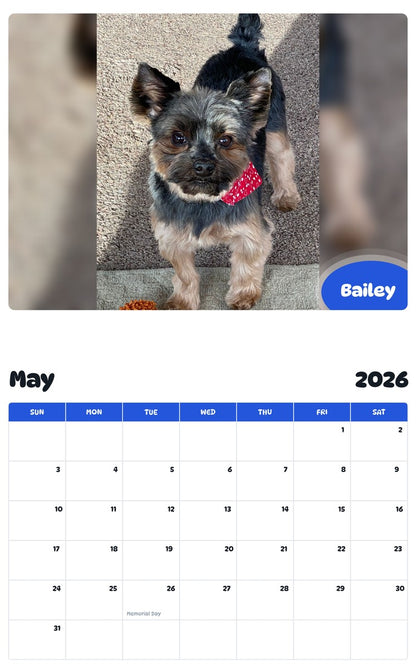 2026 - 2027 Bailey - Pawidols Pet Calendar