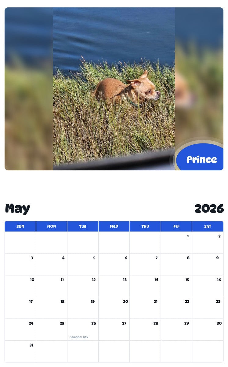 2026 - 2027 Prince - Pawidols Pet Calendar