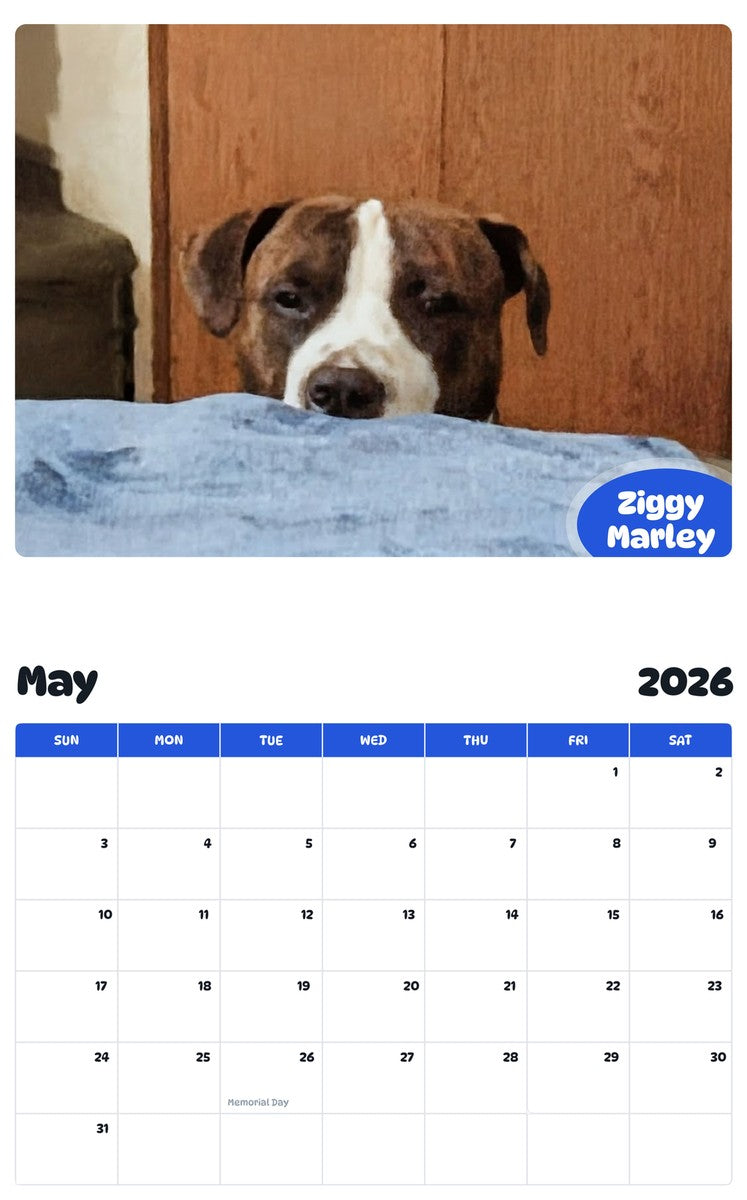 2026 - 2027 Ziggy Marley - Pawidols Pet Calendar