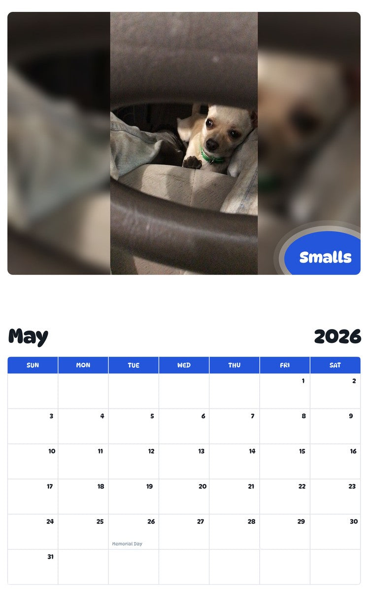 2026 - 2027 Smalls - Pawidols Pet Calendar