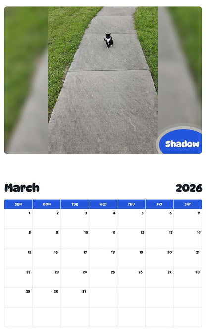 November 2025 - October 2026 Shadow - Pawidols Pet Calendar