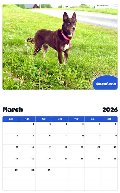November 2025 - October 2026 CocoBean - Pawidols Pet Calendar