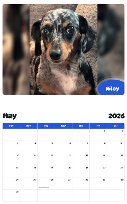 2026 - 2027 Riley - Pawidols Pet Calendar