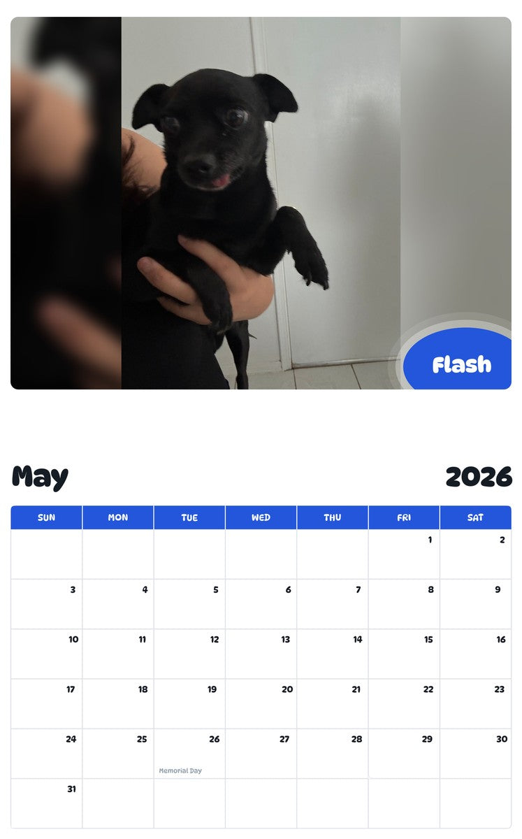 2026 - 2027 Flash - Pawidols Pet Calendar