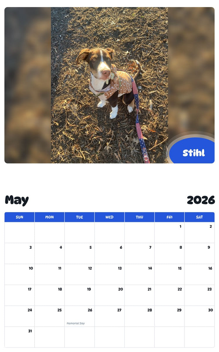 2026 - 2027 Stihl - Pawidols Pet Calendar