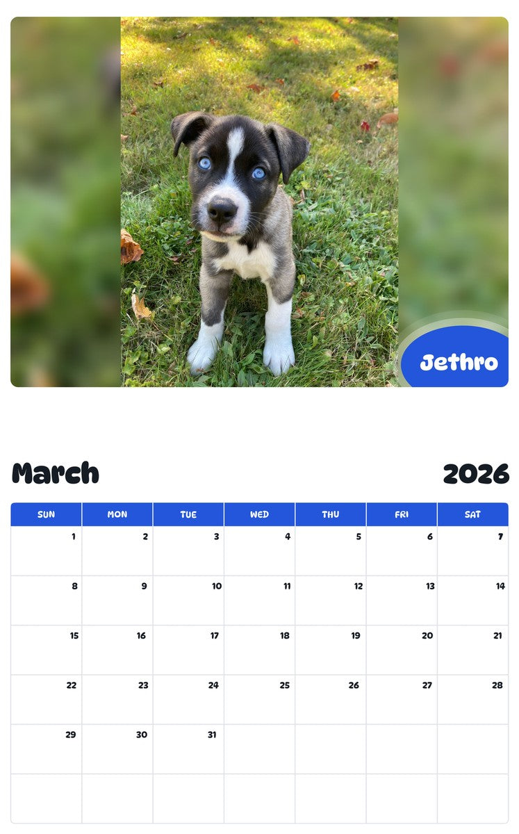 November 2025 - October 2026 Jethro - Pawidols Pet Calendar