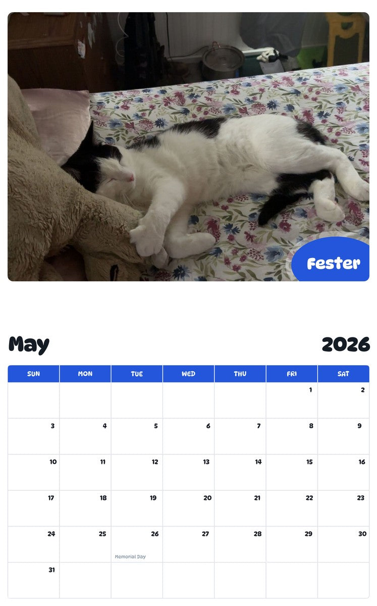 2026 - 2027 Fester - Pawidols Pet Calendar