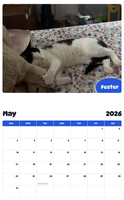 2026 - 2027 Fester - Pawidols Pet Calendar