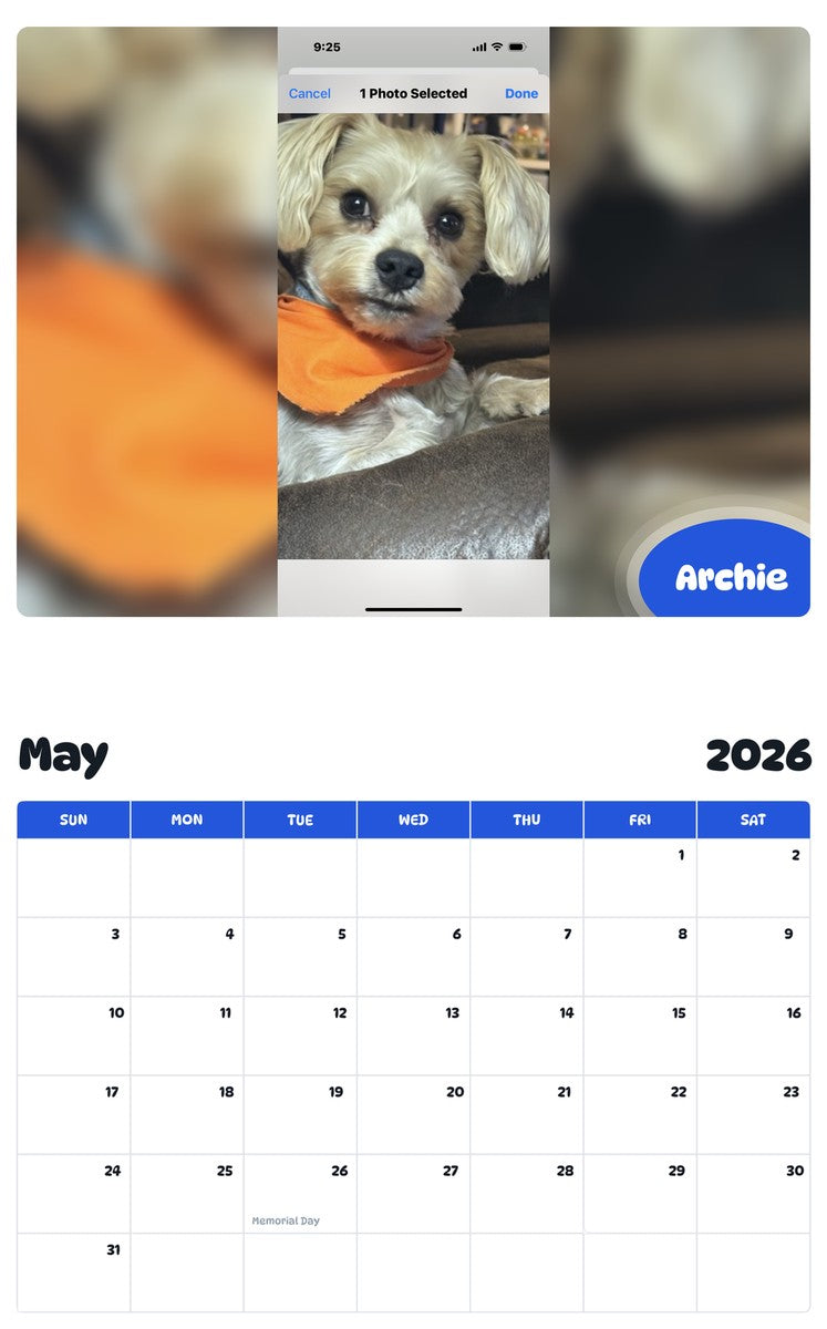 2026 - 2027 Archie - Pawidols Pet Calendar