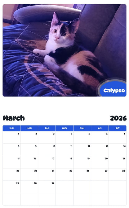 November 2025 - October 2026 Calypso - Pawidols Pet Calendar