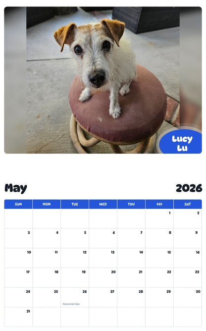 2026 - 2027 Lucy Lu - Pawidols Pet Calendar