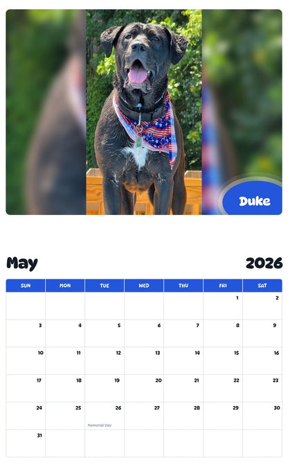 2026 - 2027 Duke - Pawidols Pet Calendar
