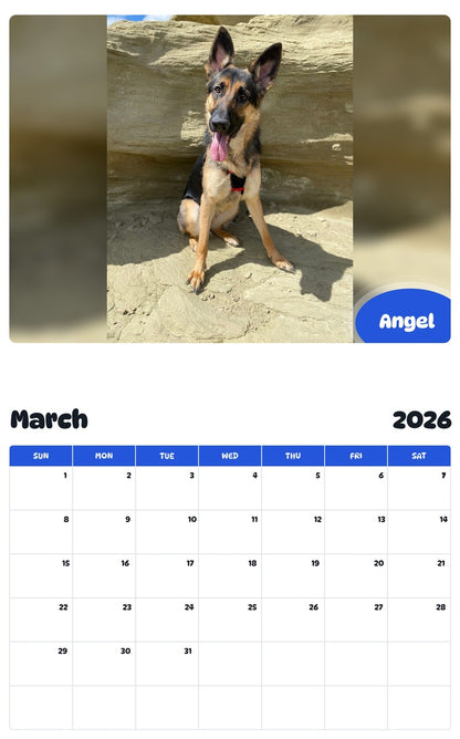 November 2025 - October 2026 Angel - Pawidols Pet Calendar