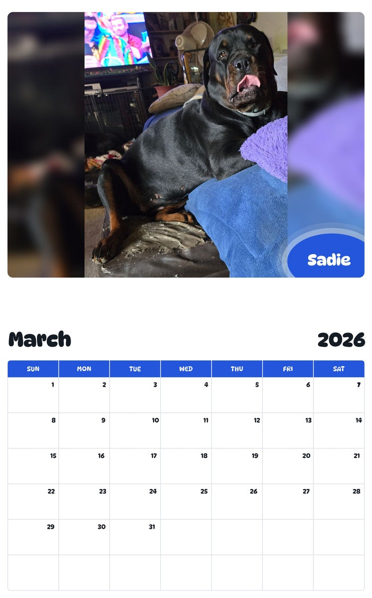 November 2025 - October 2026 Sadie - Pawidols Pet Calendar