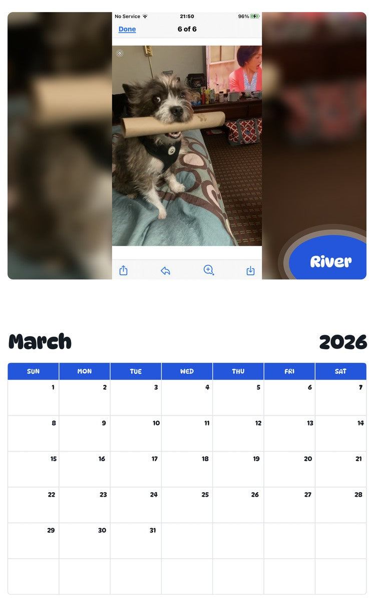November 2025 - October 2026 River - Pawidols Pet Calendar