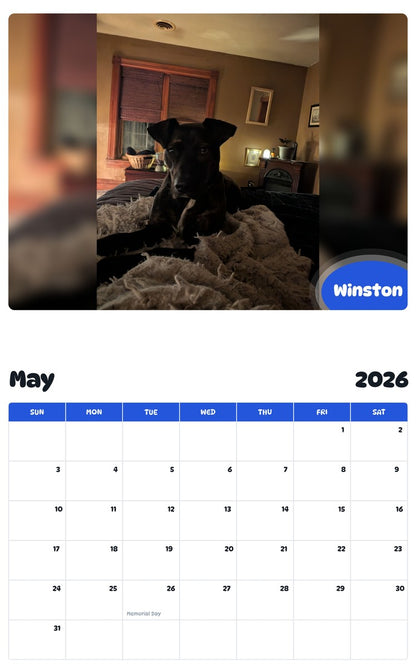 2026 - 2027 Winston - Pawidols Pet Calendar