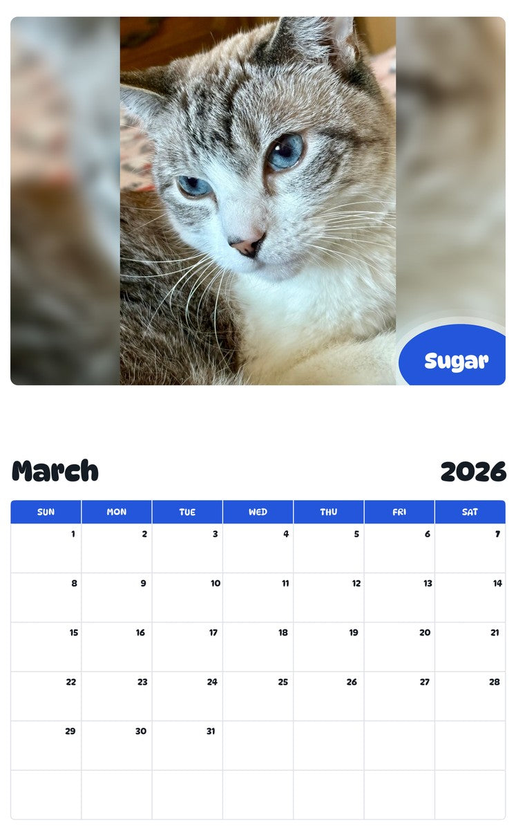 November 2025 - October 2026 Sugar - Pawidols Pet Calendar