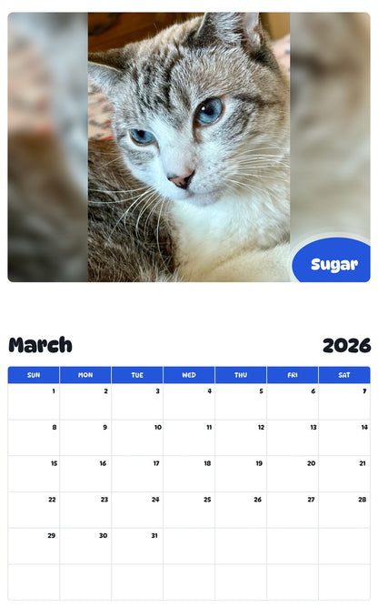 November 2025 - October 2026 Sugar - Pawidols Pet Calendar