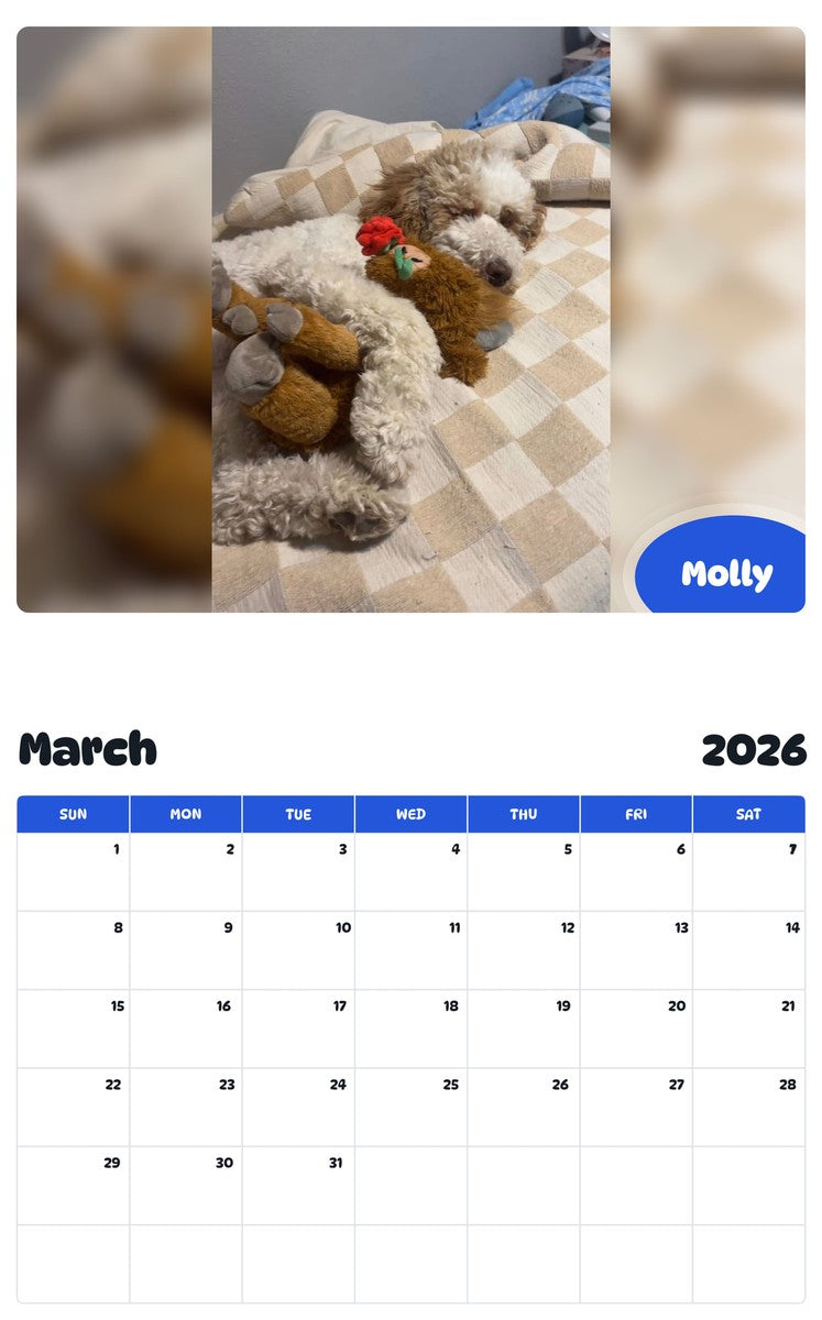 November 2025 - October 2026 Molly - Pawidols Pet Calendar