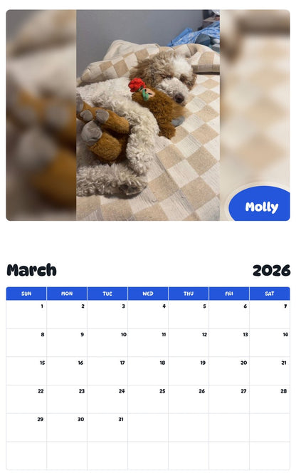 November 2025 - October 2026 Molly - Pawidols Pet Calendar