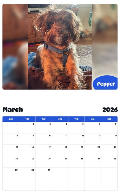 November 2025 - October 2026 Pepper - Pawidols Pet Calendar