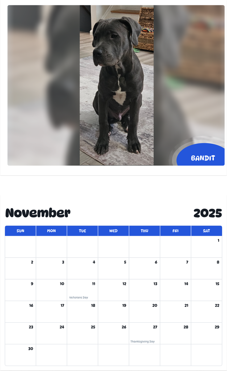 July 2025 - June 2026 Bandit - Pawidols Pet Calendar