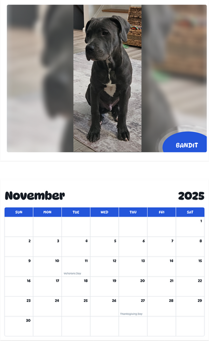 July 2025 - June 2026 Bandit - Pawidols Pet Calendar