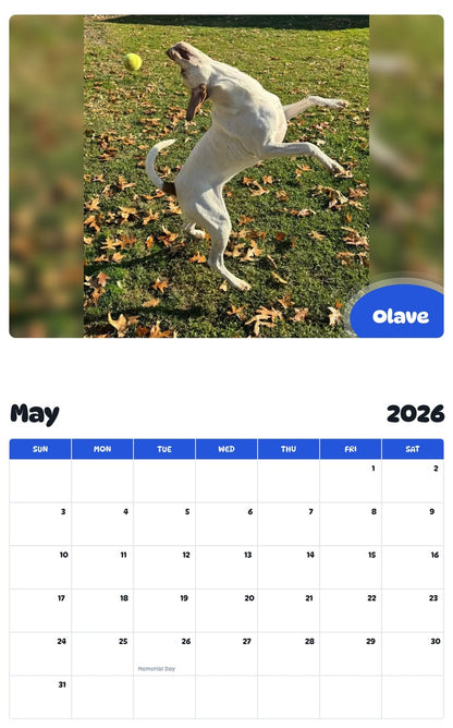 2026 - 2027 Olave - Pawidols Pet Calendar
