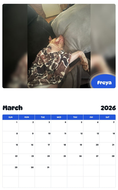 November 2025 - October 2026 Freya - Pawidols Pet Calendar