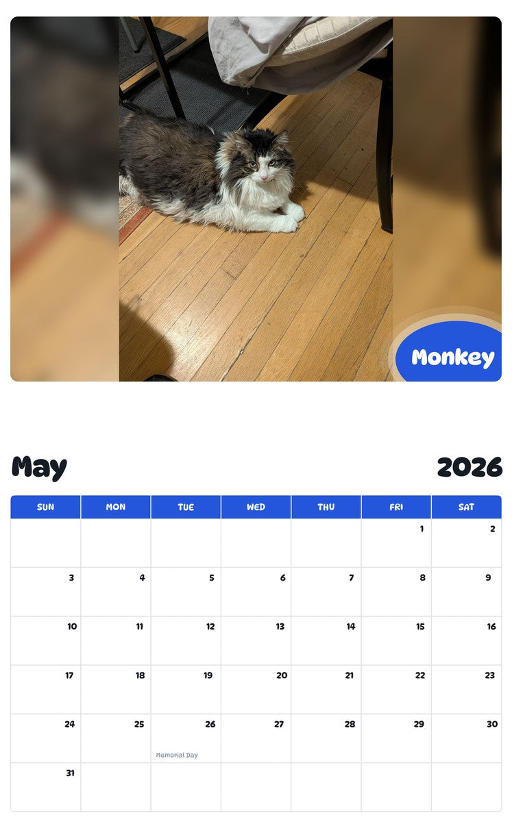 2026 - 2027 Monkey - Pawidols Pet Calendar