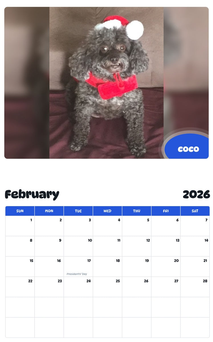 November 2025 - October 2026 coco - Pawidols Pet Calendar
