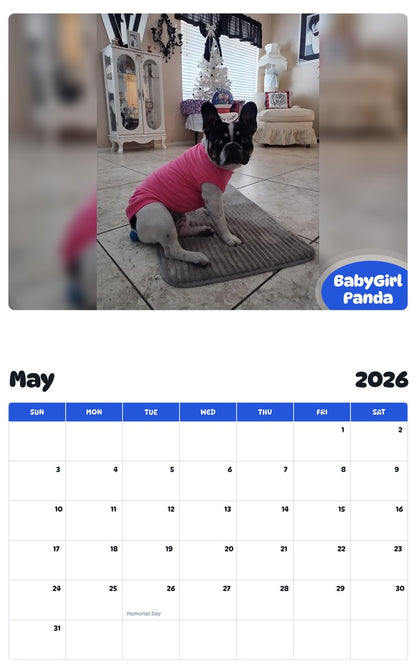 2026 - 2027 BabyGirl Panda - Pawidols Pet Calendar