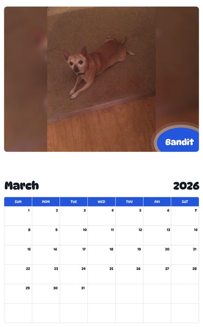 November 2025 - October 2026 Bandit - Pawidols Pet Calendar