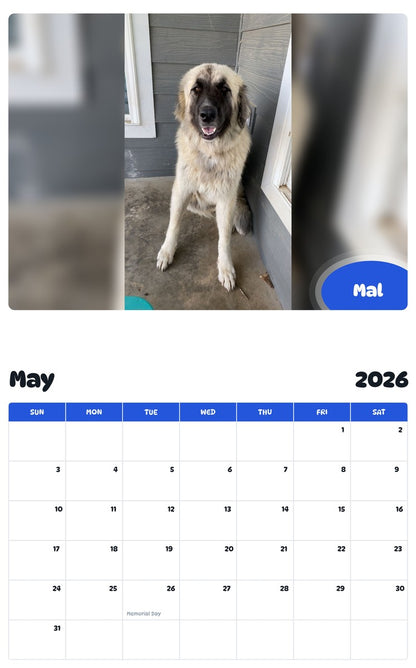 2026 - 2027 Mal - Pawidols Pet Calendar