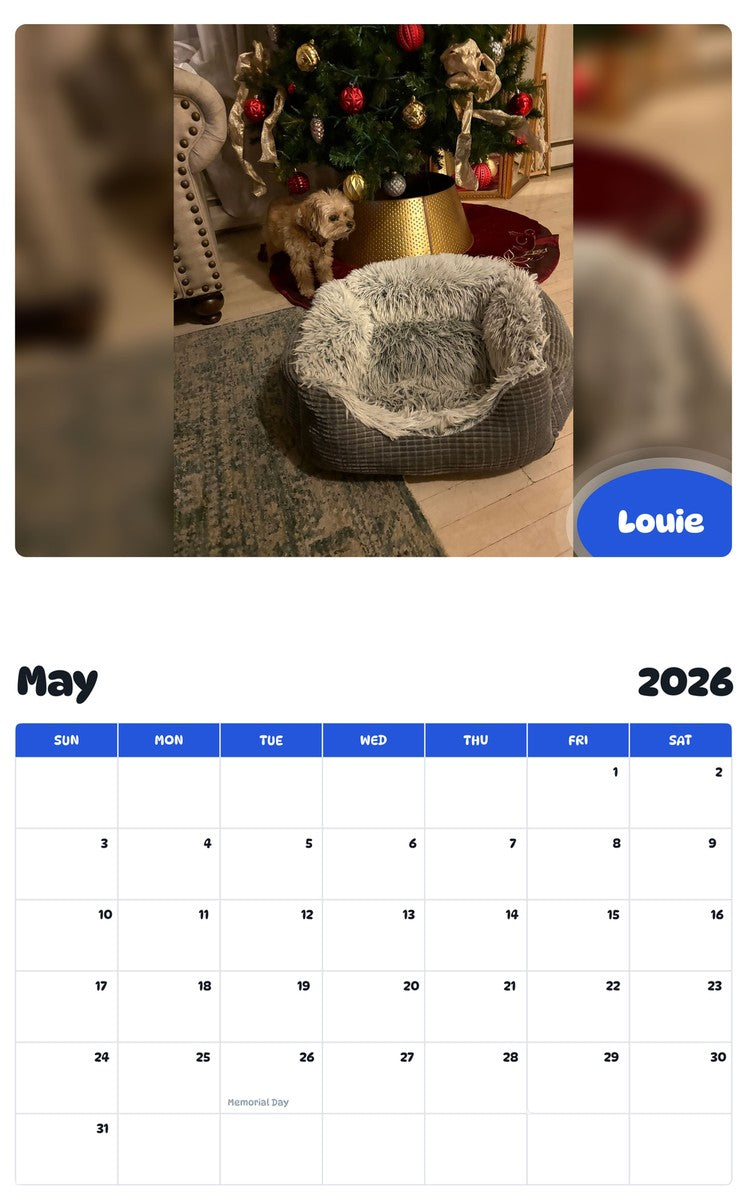 2026 - 2027 Louie - Pawidols Pet Calendar