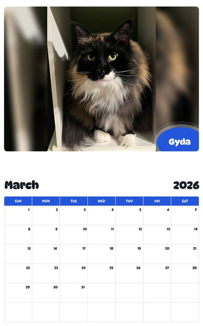 November 2025 - October 2026 Gyda - Pawidols Pet Calendar