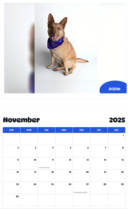 July 2025 - June 2026 Bodhi - Pawidols Pet Calendar
