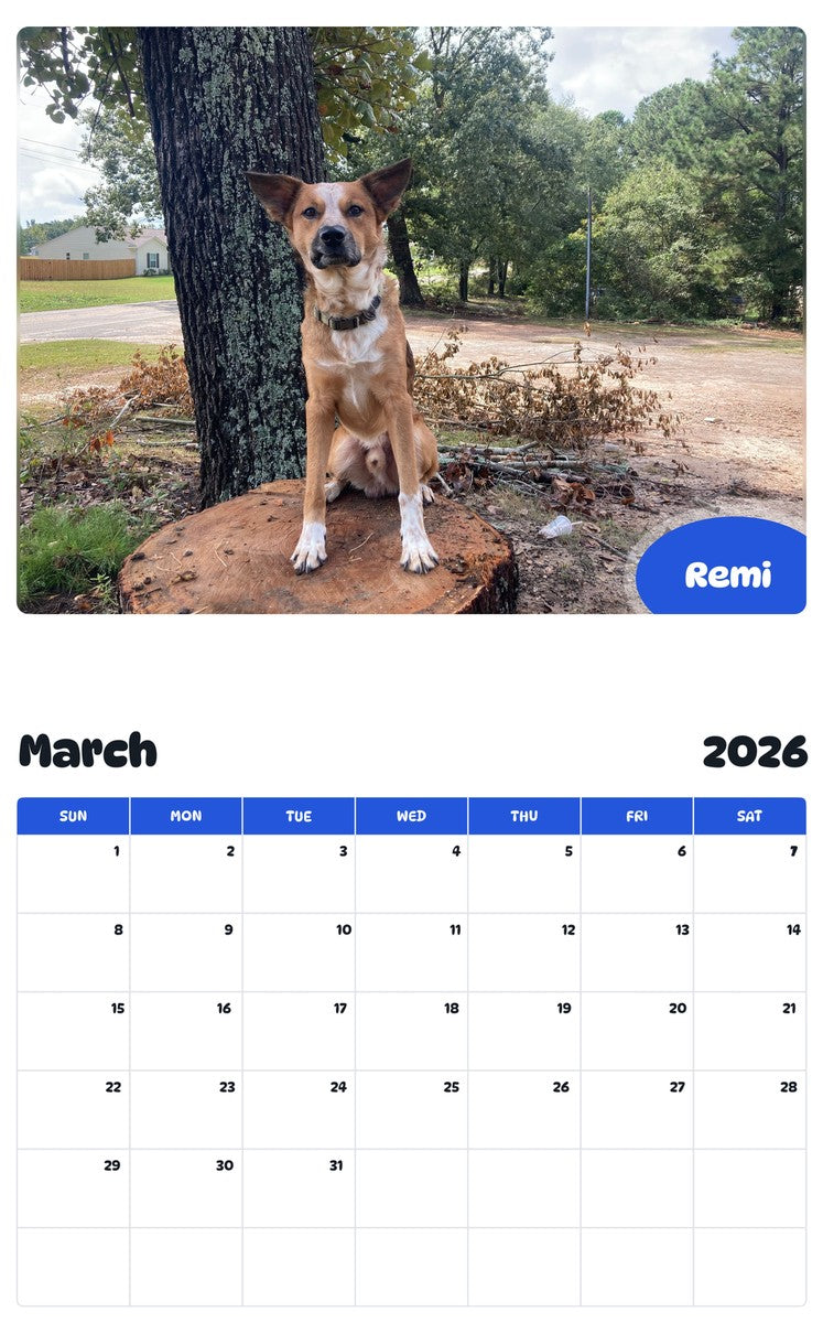 November 2025 - October 2026 Remi - Pawidols Pet Calendar