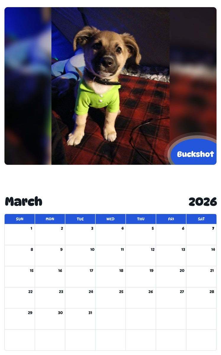 November 2025 - October 2026 Buckshot - Pawidols Pet Calendar