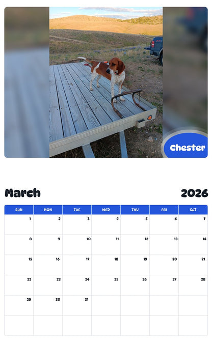 November 2025 - October 2026 Chester - Pawidols Pet Calendar