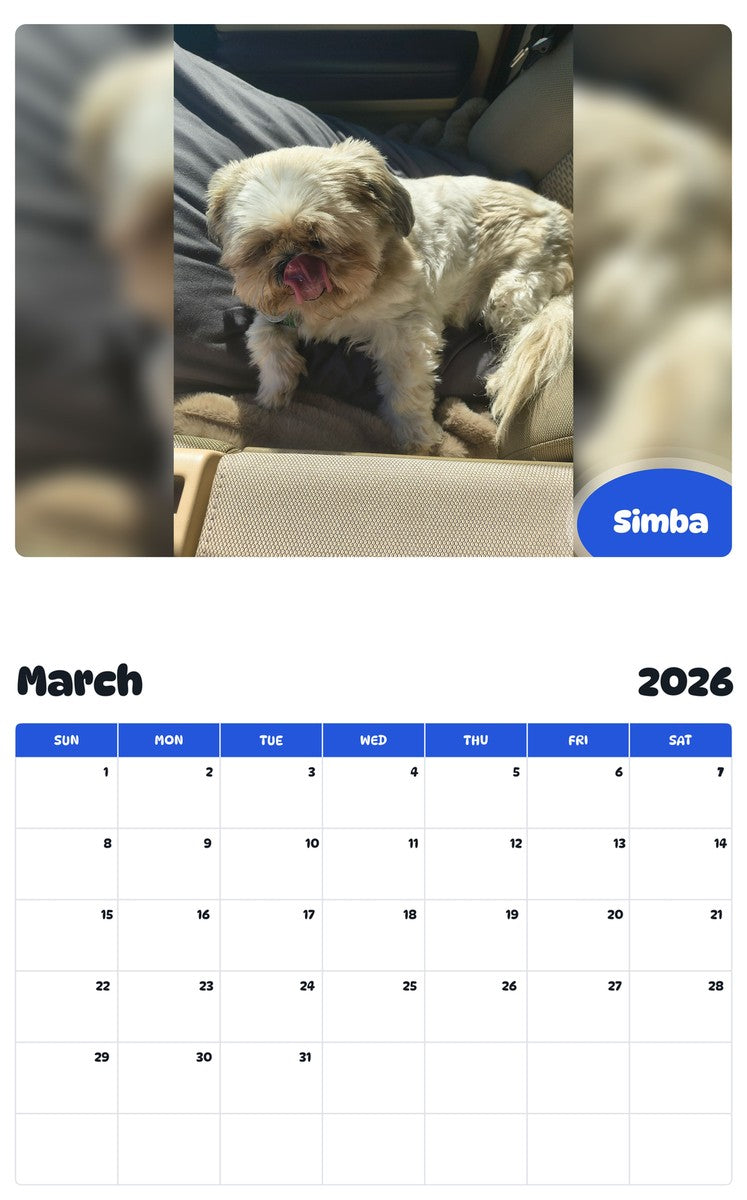 November 2025 - October 2026 Simba - Pawidols Pet Calendar