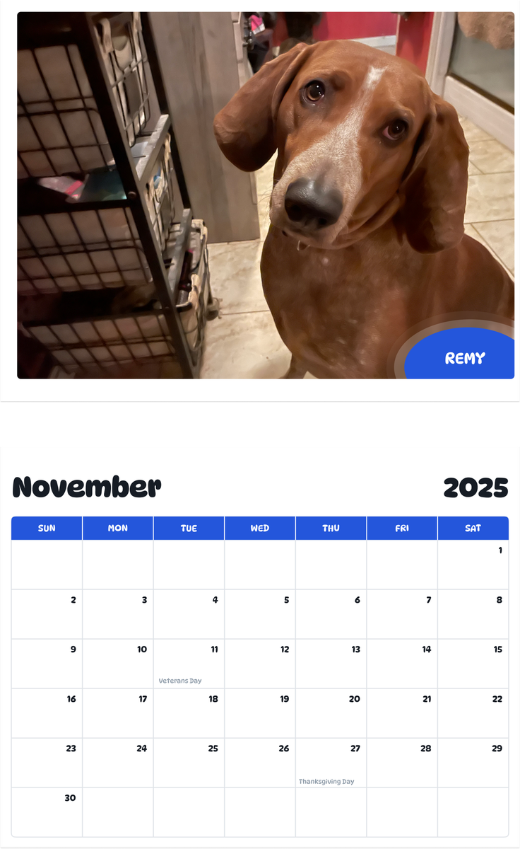 July 2025 - June 2026 Remy - Pawidols Pet Calendar