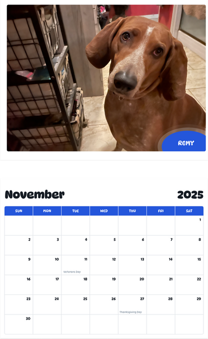 July 2025 - June 2026 Remy - Pawidols Pet Calendar