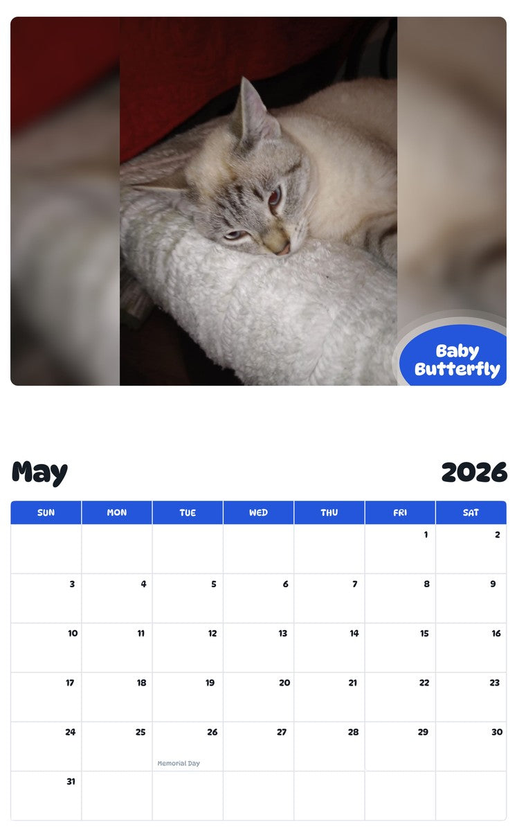 2026 - 2027 Baby Butterfly - Pawidols Pet Calendar