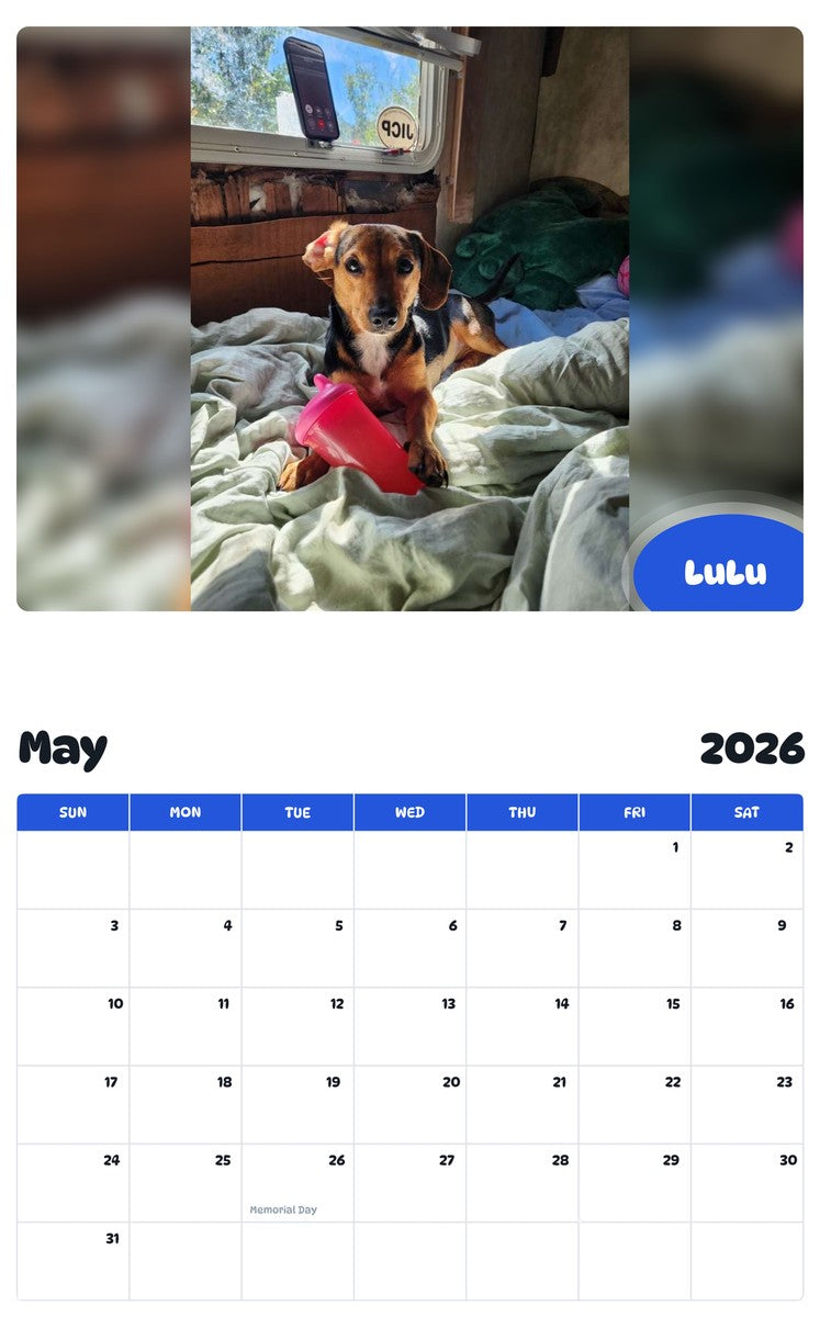 2026 - 2027 LuLu - Pawidols Pet Calendar