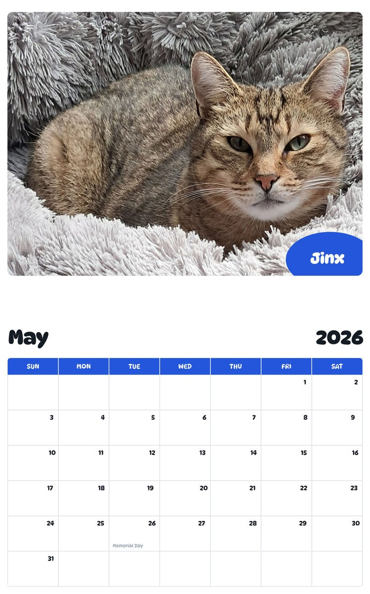 2026 - 2027 Jinx - Pawidols Pet Calendar